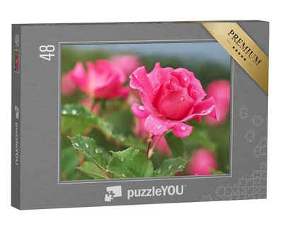 puzzleYOU Puzzle Rosa Rose mit Regentropfen, 48 Puzzleteile, puzzleYOU-Kollektionen Rosen, Blumen, Blumen & Pflanzen