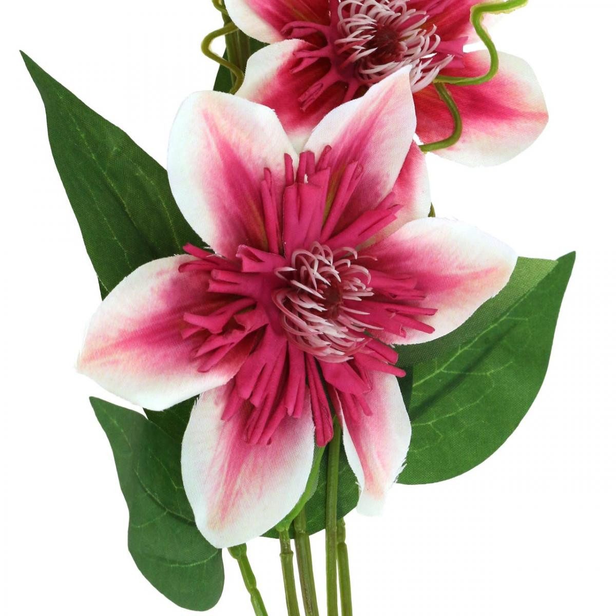 Kunstblume Clematiszweig Kunstblume Deko-Zweig Pink Weiß 5 Blüten L84cm, Florists Products, Höhe 8 cm