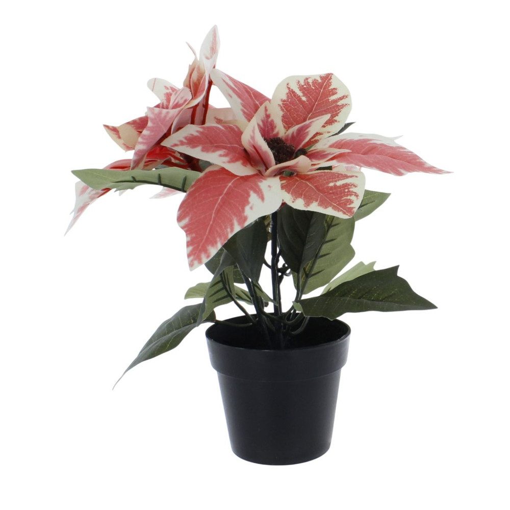 Kunstblume Weihnachtsstern im Topf weiß/pink - ca. 24 cm, MICA günstig online kaufen