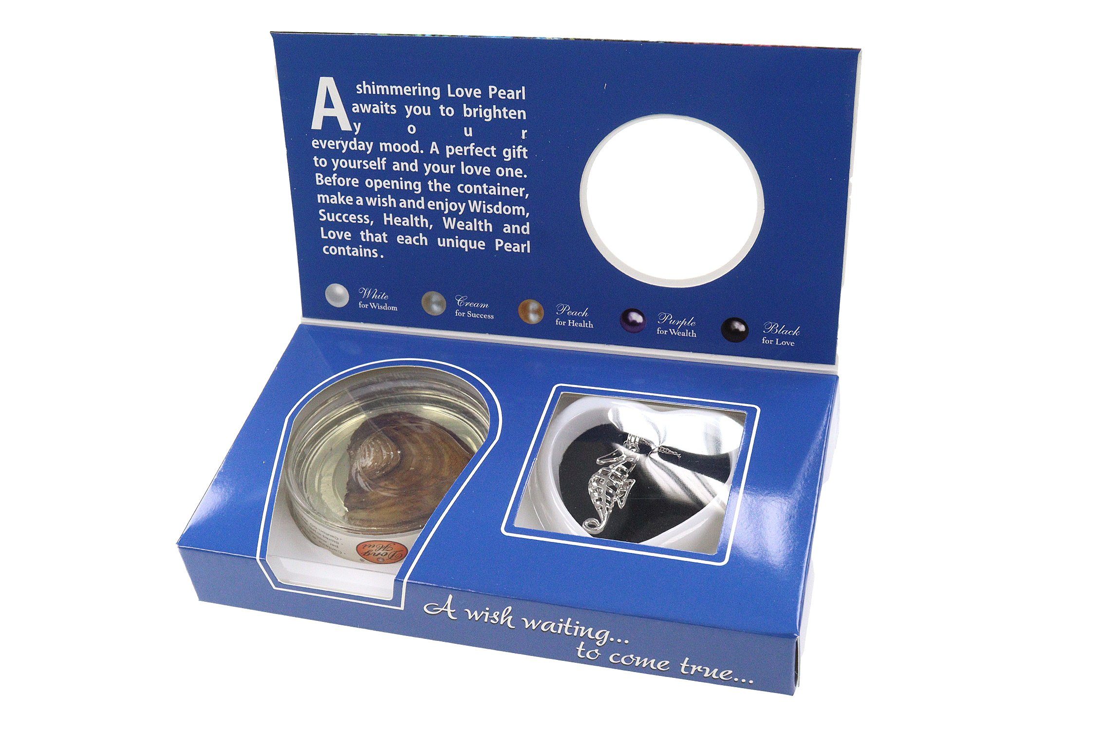 ELLUG Kette mit Anhänger Wunschperle aus echter Muschel mit Halskette und A günstig online kaufen