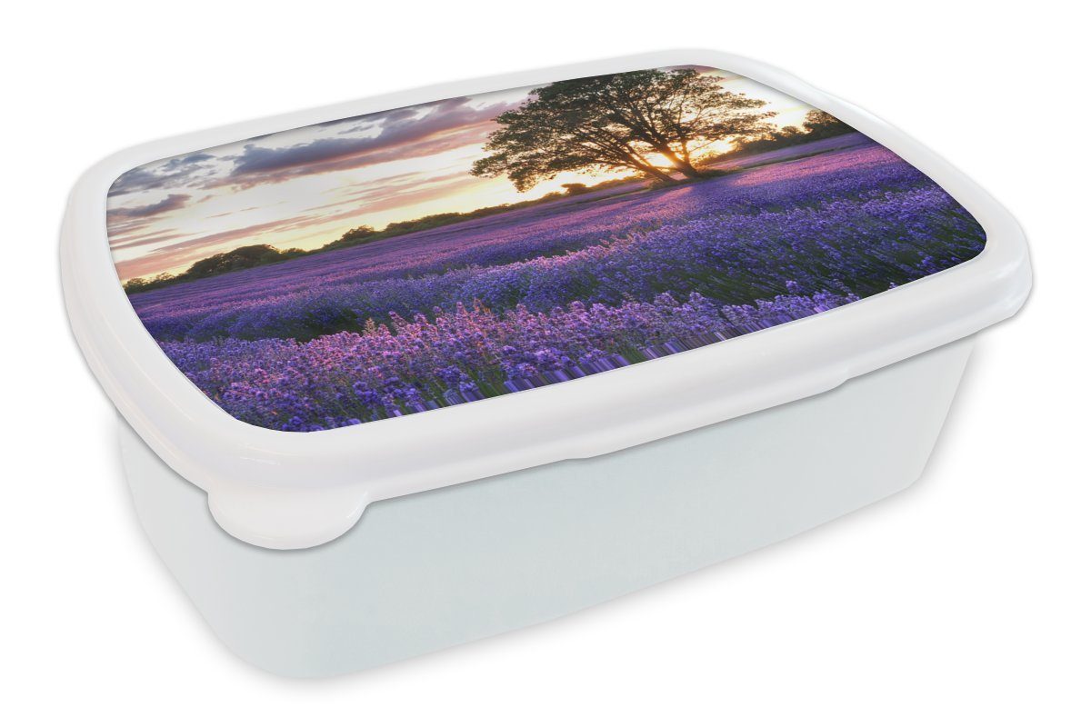 MuchoWow Lunchbox Sommerabendlicher Sonnenuntergang über einem Feld mit Bio-Lavendel in, Kunststoff, (2-tlg), Brotbox für Kinder und Erwachsene, Brotdose, für Jungs und Mädchen weiß