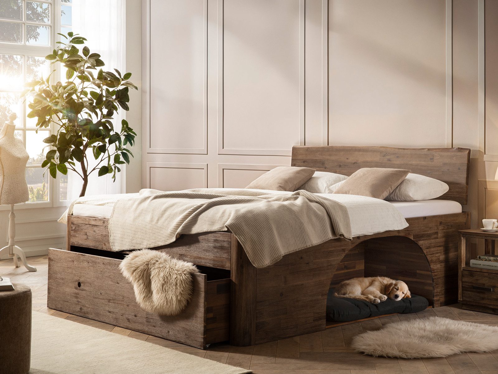 massivum Stauraumbett Bett Companion Akazie