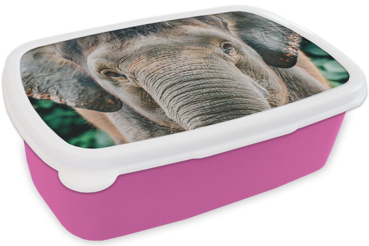 MuchoWow Lunchbox Elefant - Porträt Kunststoff Snackbox, für Grau, - rosa - Erwachsene, Kinder, Kunststoff, Tiere Brotbox Brotdose (2-tlg), Mädchen