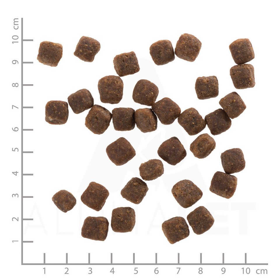 Wolfsblut Wild Duck Puppy - getreidefreies Trockenfutter mit Ente für Welpen, Trockenfutter für: Hunde