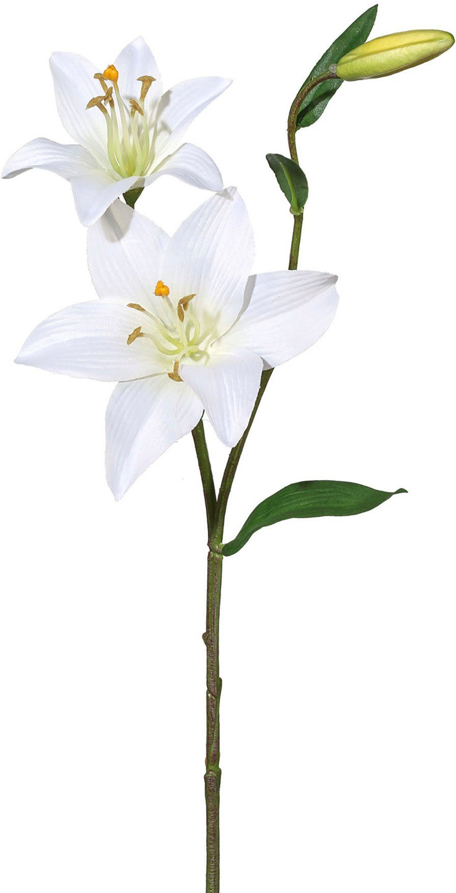Kunstblume Lilie Lilie, Creativ green, Höhe 60 cm günstig online kaufen