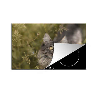 MuchoWow Herdblende-/Abdeckplatte Eine Maine Coon-Katze im hohen Gras, Vinyl, (1 tlg), 77x51 cm, Ceranfeldabdeckung, Arbeitsplatte für küche