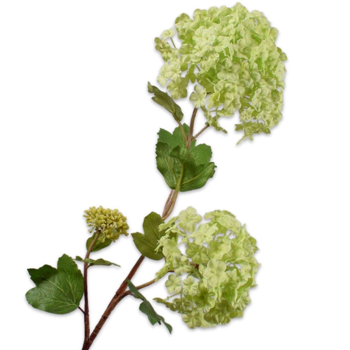 Künstliche Zimmerpflanze Seidenblume Schneeball Zweig Grün (68cm), SILK-KA
