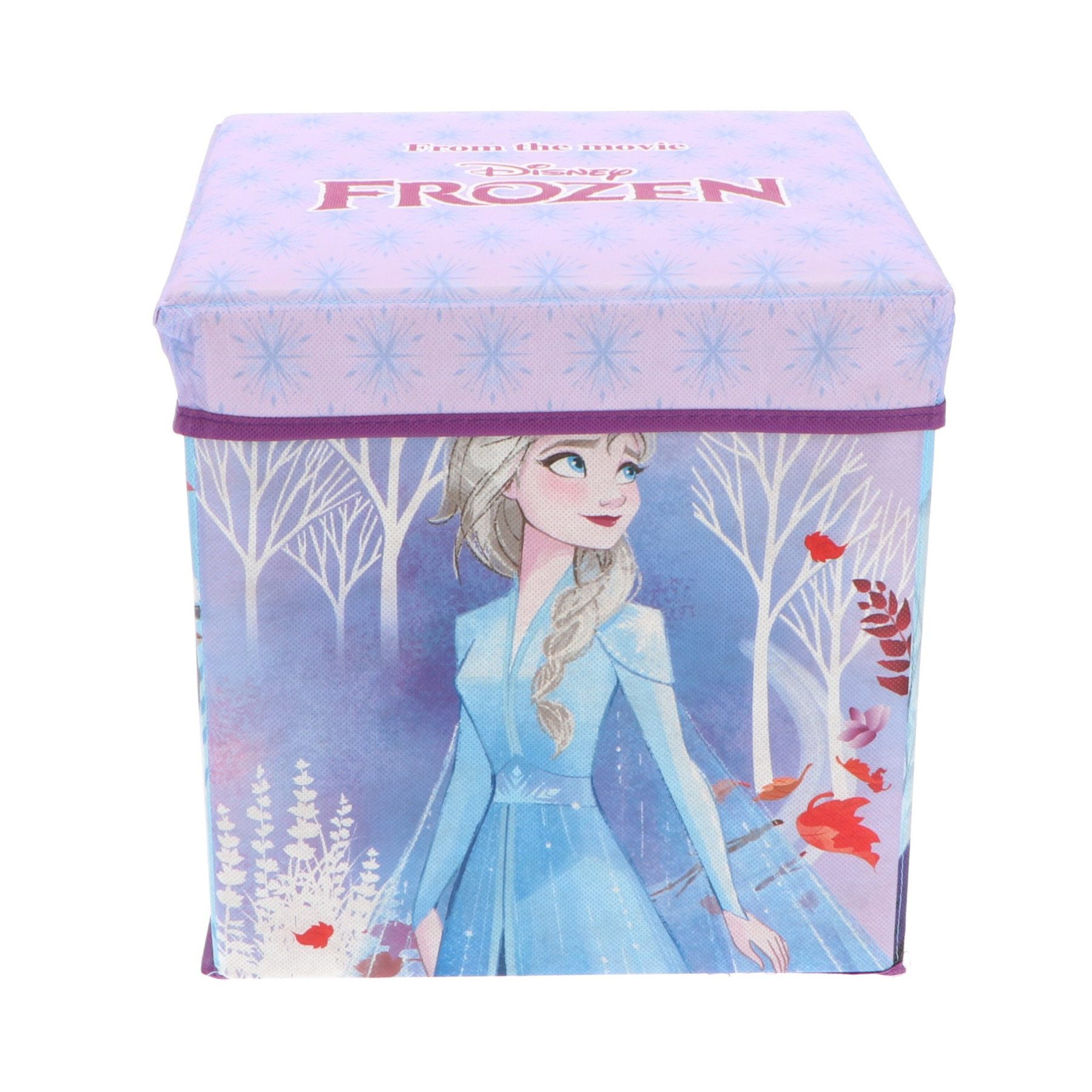 Disney Faltbox Frozen Eiskönigin Sitzbox Aufbewahrungsbox zusammenklappbar 30x30x30cm