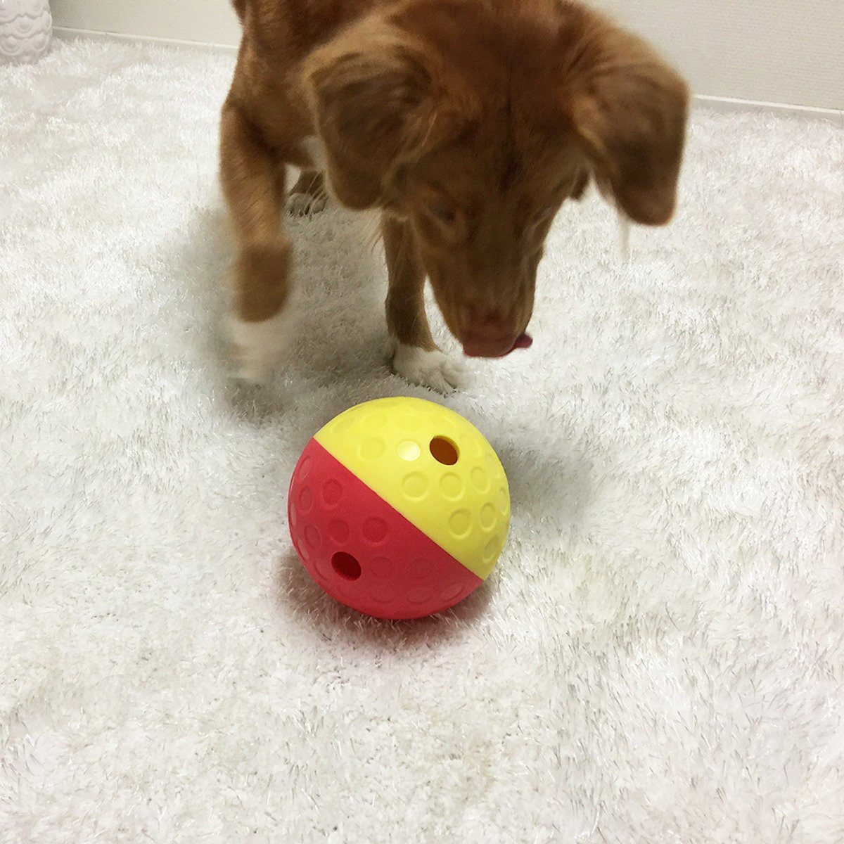 Nina Ottosson Tierball Treat Tumble