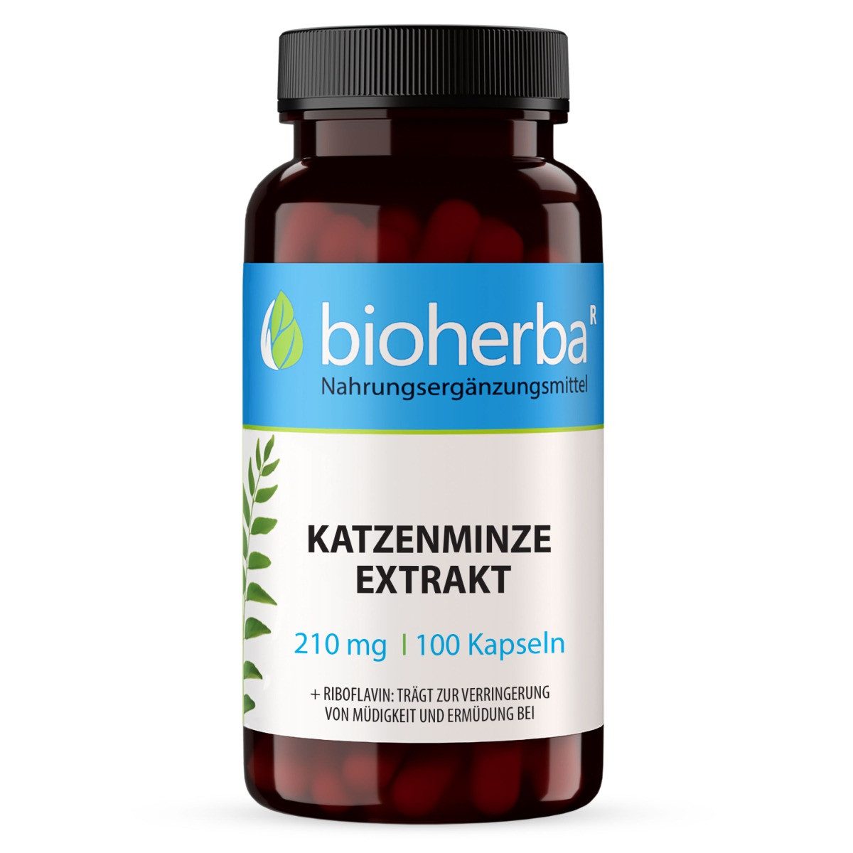 BIOHERBA R Bioherba Katzenminze Extrakt 210 mg 100 Kapseln Nahrungsergänzungsmittel, 1 er