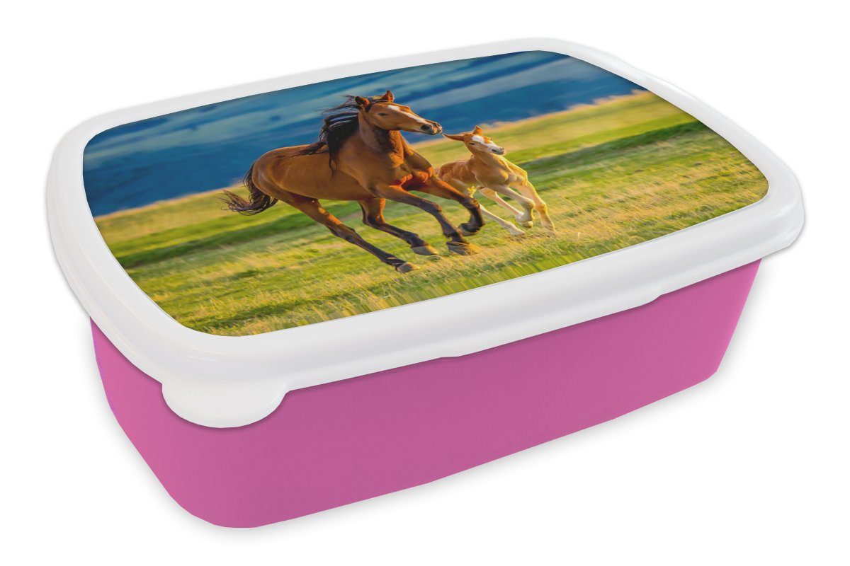 MuchoWow Lunchbox Pferde - Gras - Tiere - Landschaft - Natur, Kunststoff, (2-tlg), Brotbox für Erwachsene, Brotdose Kinder, Snackbox, Mädchen, Kunststoff rosa