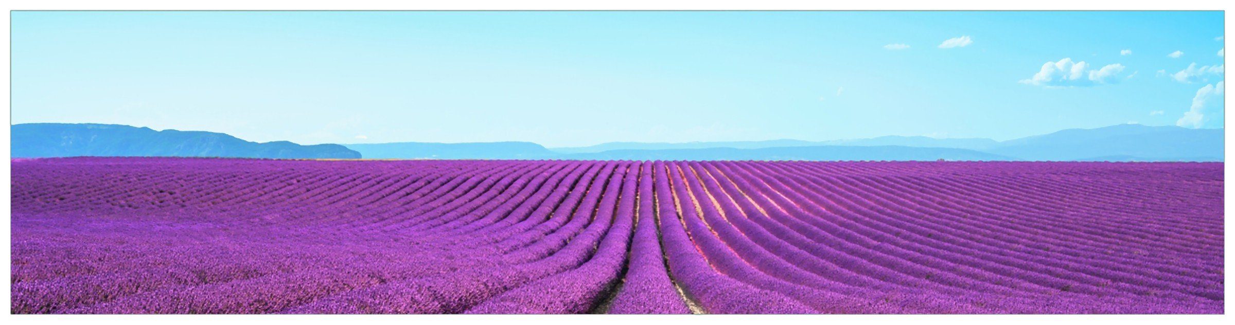 Wallario Küchenrückwand Lavendelfeld unter blauem (1-tlg) Himmel