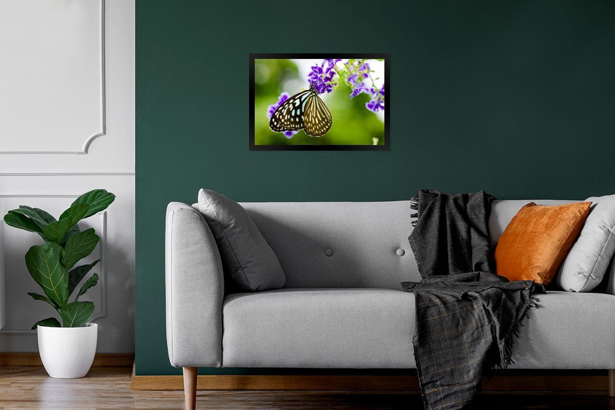 Poster, Schmetterling Bilder, Wandposter, St), Wanddeko, Poster - - (1 Lavendel Bilderrahmen Botanisch, Gerahmtes Schwarzem MuchoWow