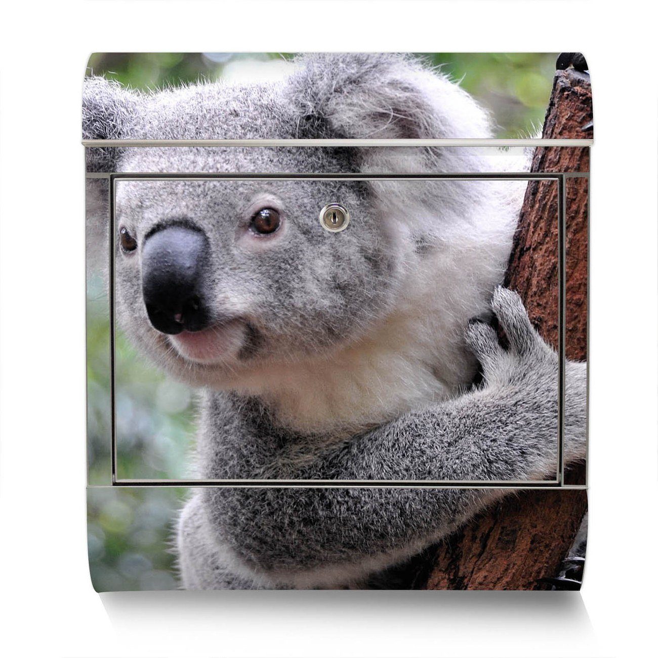 banjado Wandbriefkasten Edelstahl Koala (Wandbriefkasten Zeitungsfach), mit groß, x 42,5 38 x12cm
