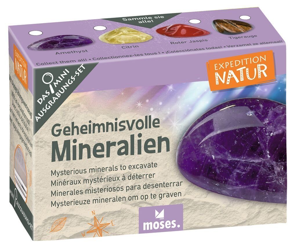 moses Lernspielzeug Expedition Natur Mini-Ausgrabungsset günstig online kaufen