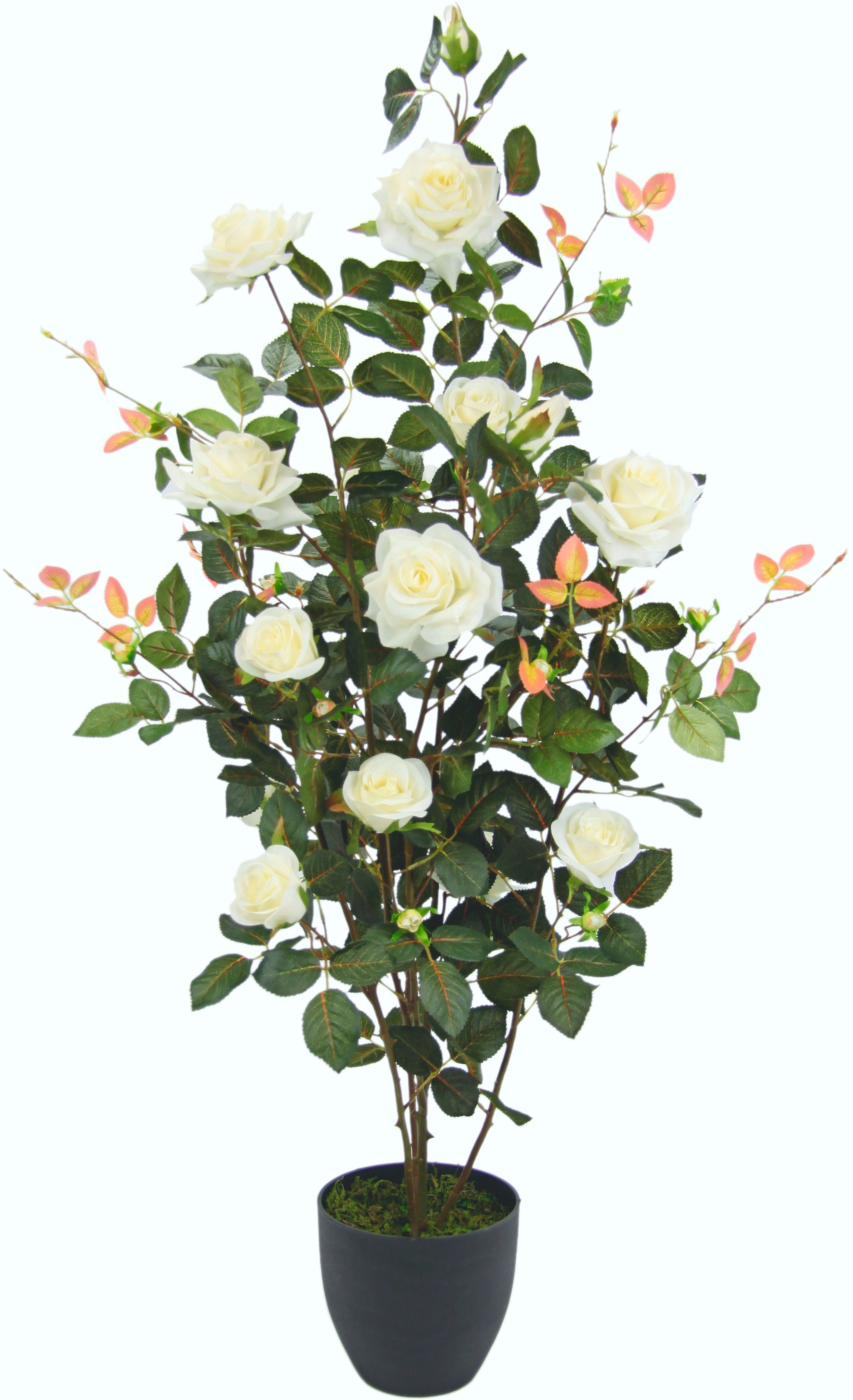 Kunstbaum Rosenbusch im Topf, I.GE.A., Höhe 115 cm, Kunstrosen  Kunstpflanzen Rosenstrauch Deko Hochzeit | Kunstblumen