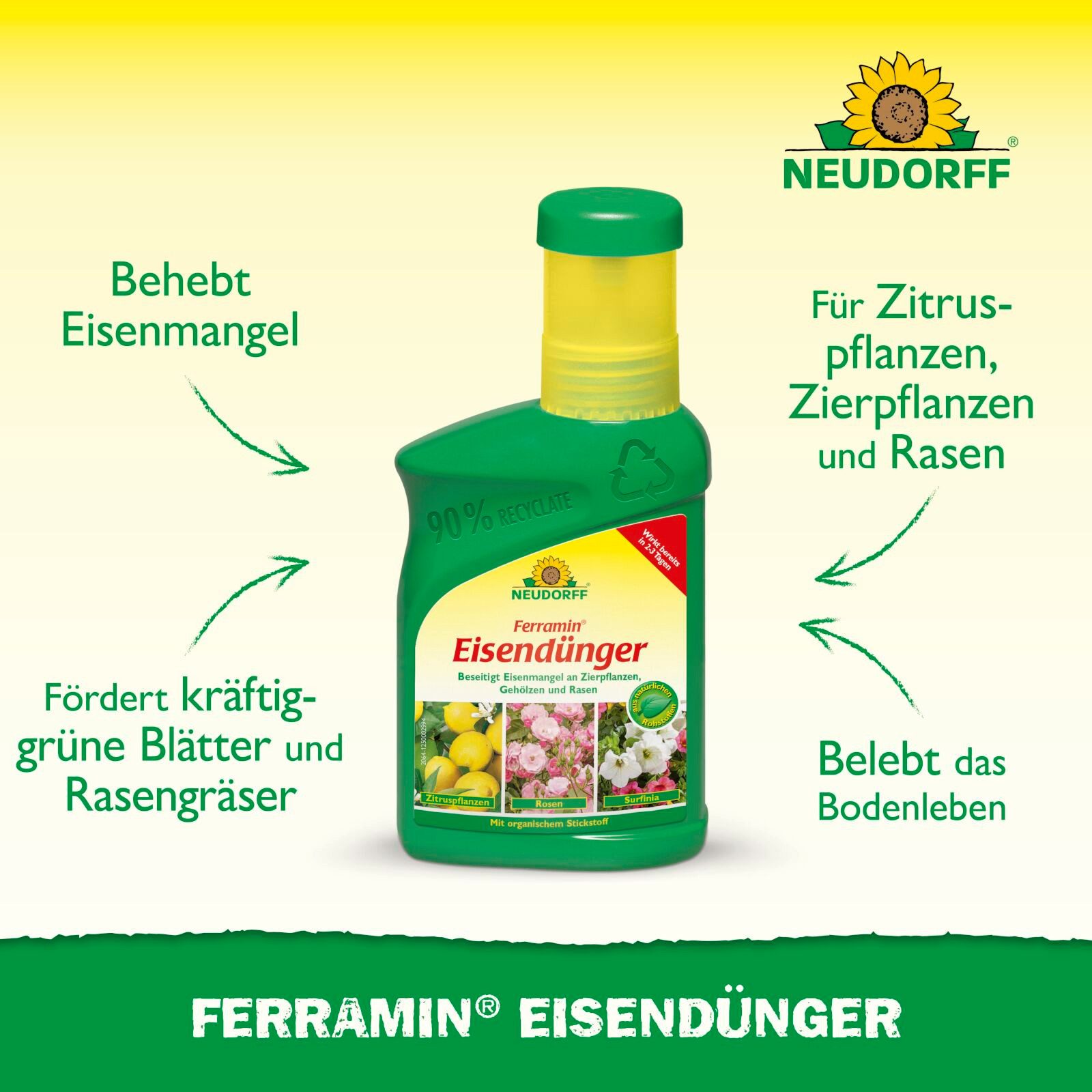 Thumbnail - Neudorff Pflanzenstärkungsmittel Ferramin Eisendünger 250 ml
