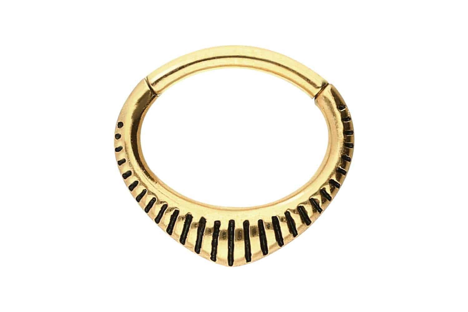 Piercing-Set Chirurgenstahl Segmentring Clicker DESIGN