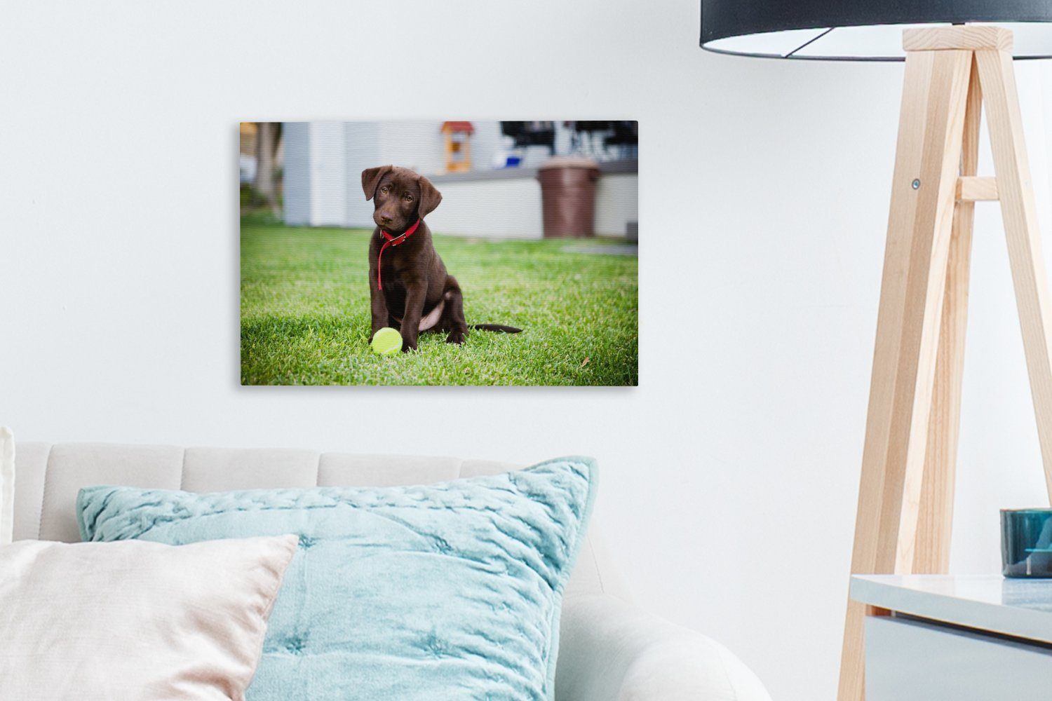 Wandbild St), Welpe OneMillionCanvasses® Aufhängefertig, Labrador mit Wanddeko, Leinwandbild cm einem Leinwandbilder, 30x20 Retriever (1 Tennisball,