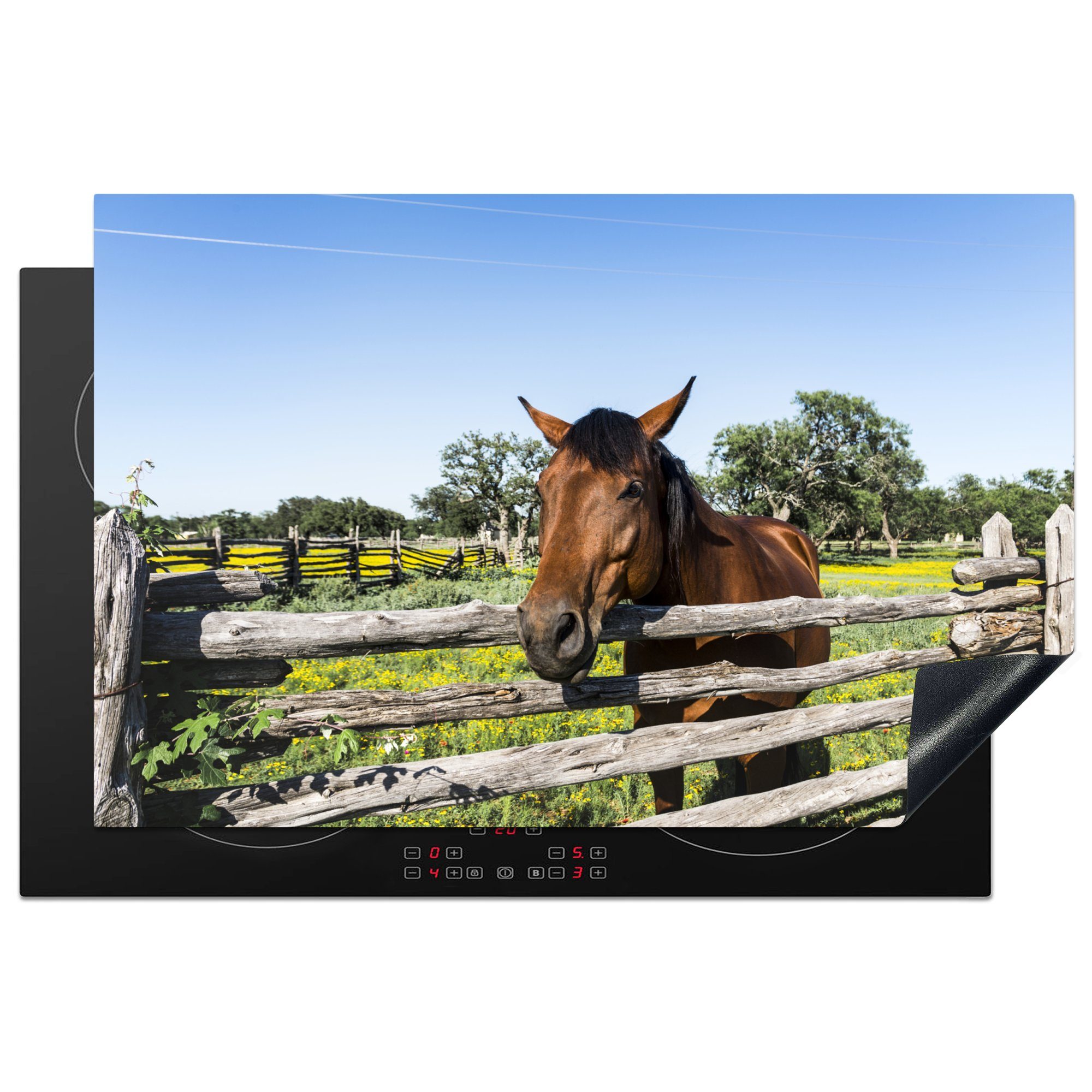 (1 Pferde 81x52 cm, - Tiere MuchoWow Zaun, Induktionskochfeld Ceranfeldabdeckung die Herdblende-/Abdeckplatte küche, Vinyl, Schutz tlg), - für