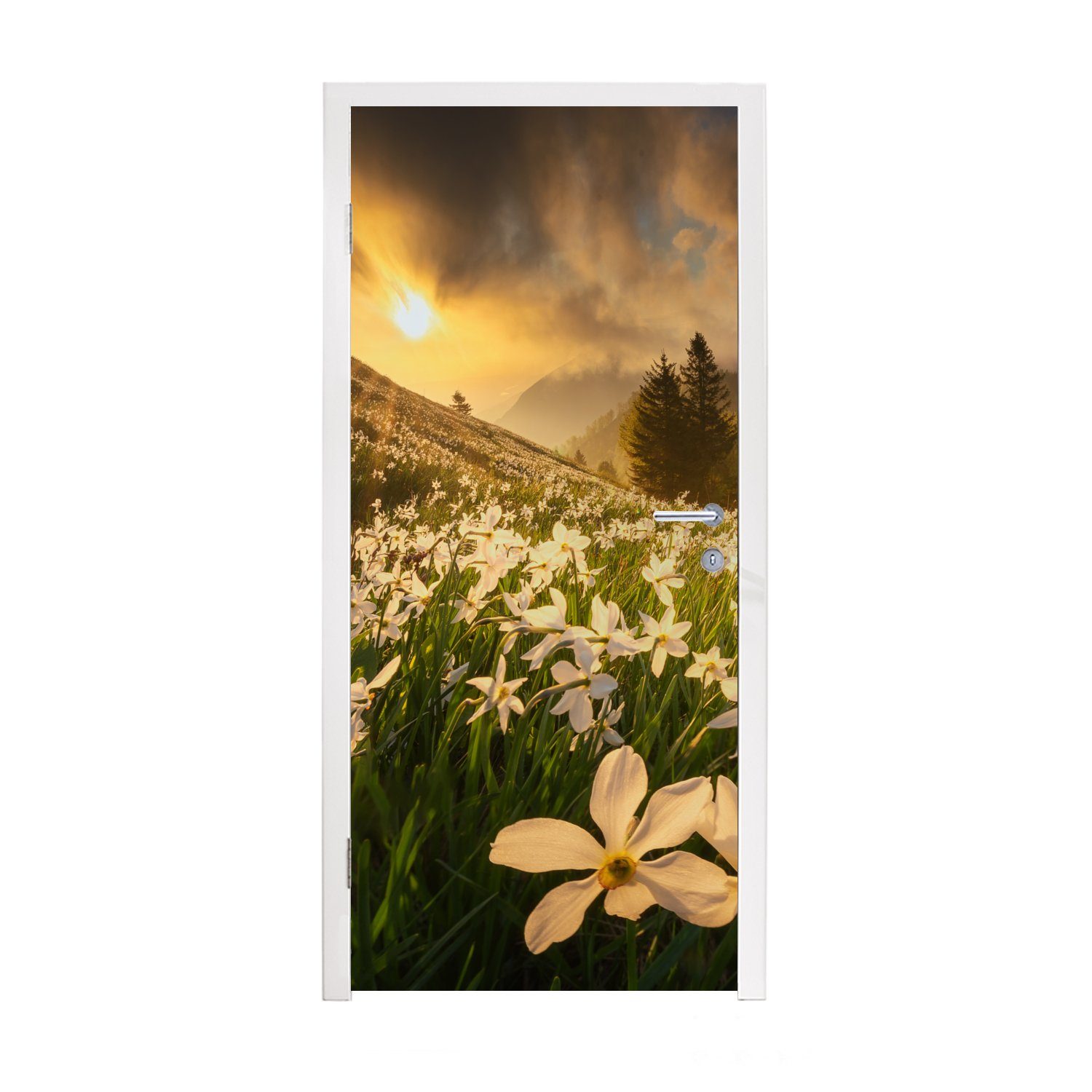 MuchoWow Türtapete Blumenfeld - Hügel - Sonnenuntergang - Berg - Natur - Weiß - Hügel, Matt, bedruckt, (1 St), Fototapete für Tür, Türaufkleber, 75x205 cm