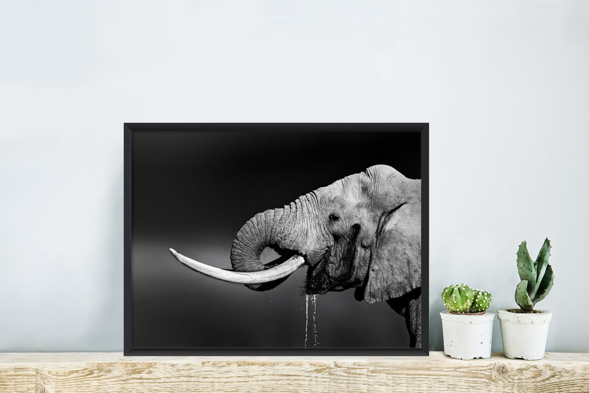 MuchoWow Poster Elefant - Bilderrahmen (1 Wasser Bilder, Gerahmtes Schwarz - Wandposter, - St), Schwarzem Weiß, Poster, Wanddeko