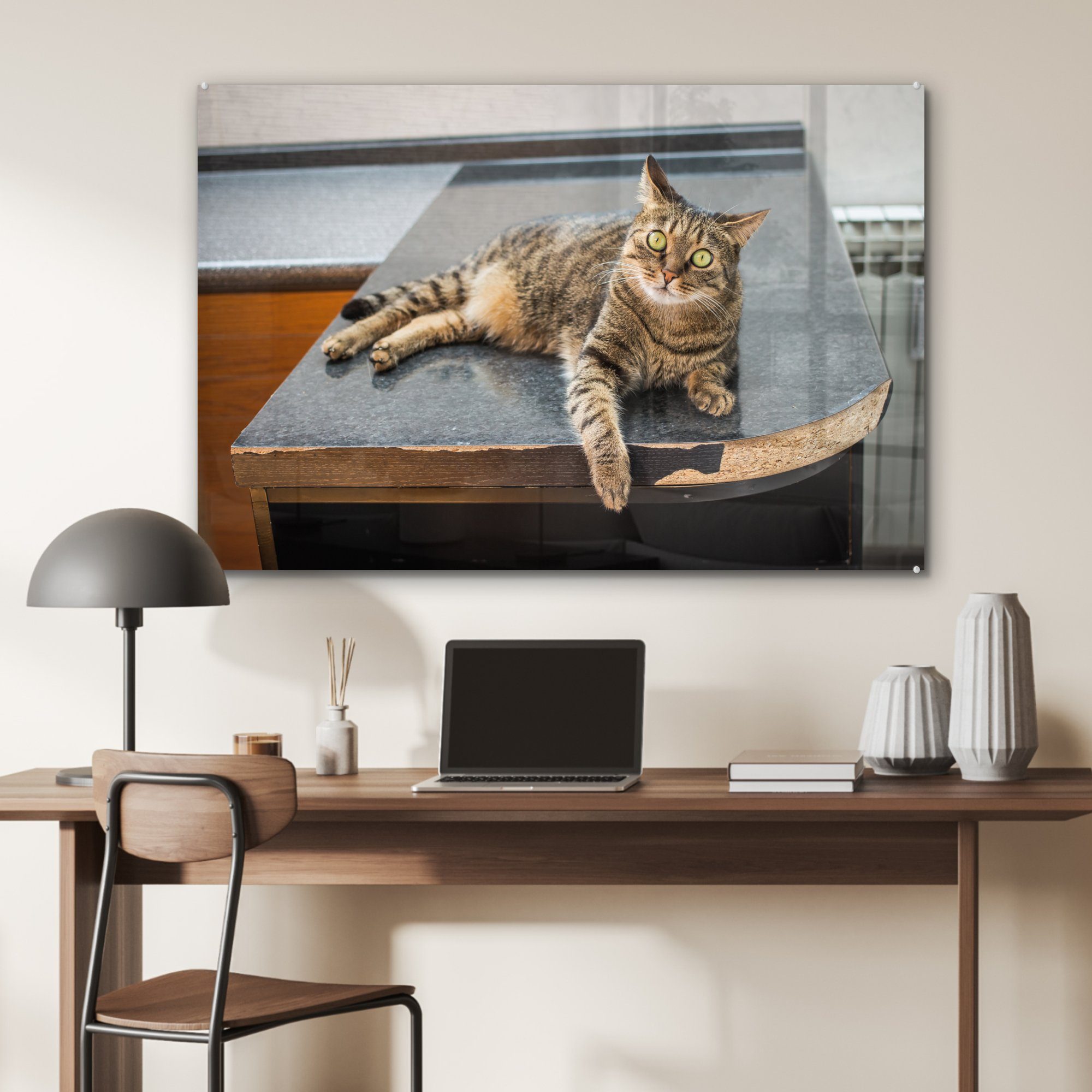 MuchoWow Acrylglasbild Eine Tigerkatze auf St), (1 Wohnzimmer Schlafzimmer & Holztisch einem liegend, Acrylglasbilder