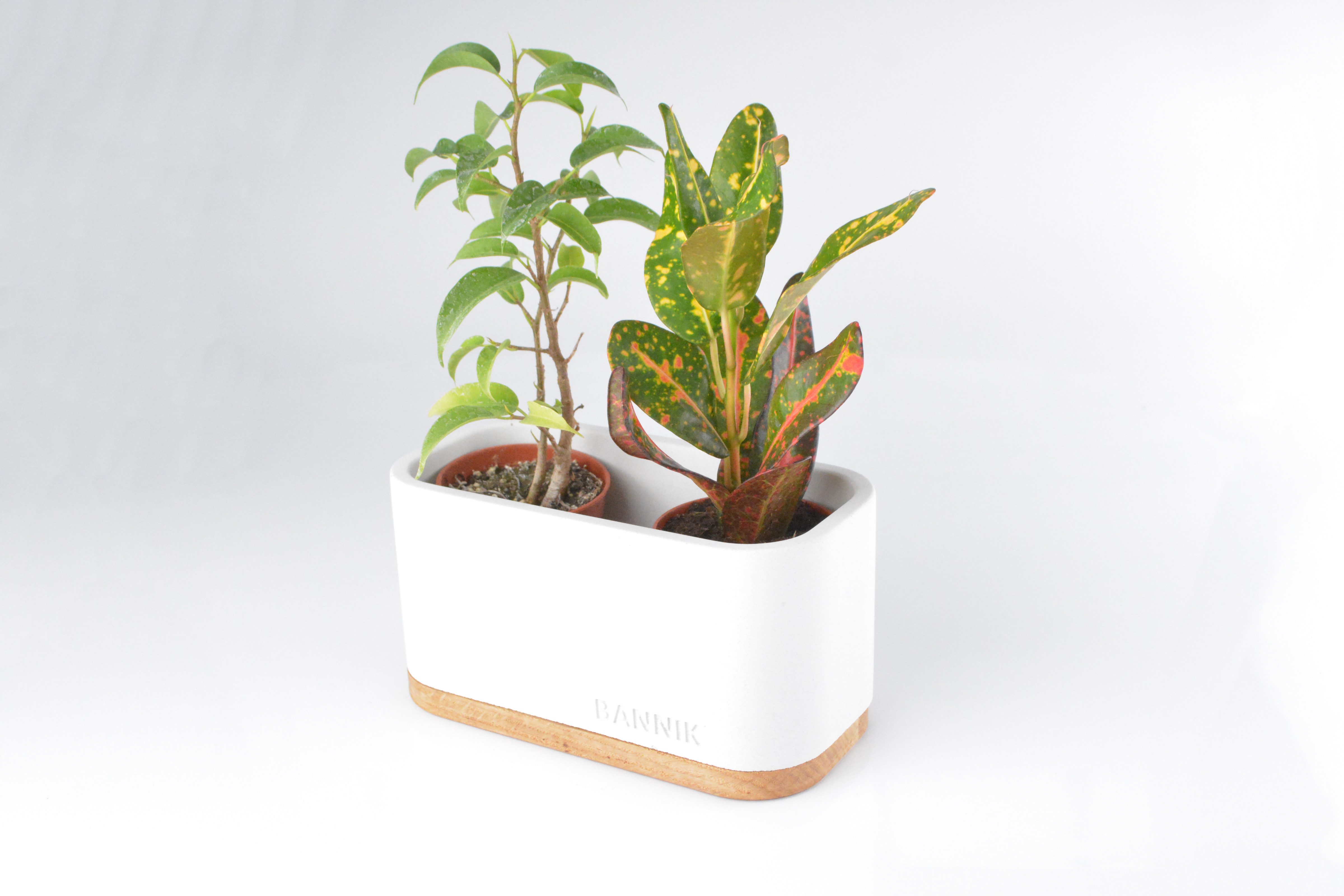 Bannik Blumentopf aus Beton - Unikat günstig online kaufen
