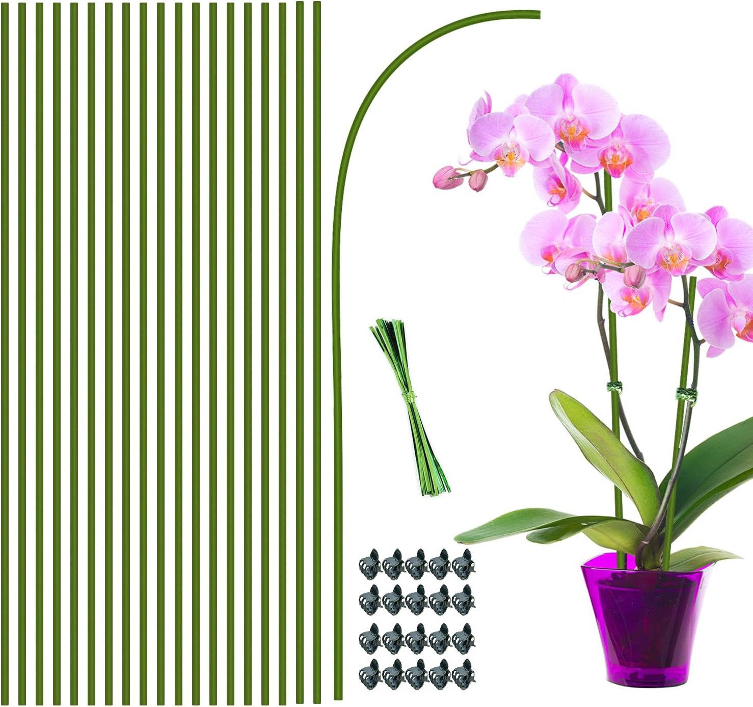 Kaket Rankhilfe Pflanzenstütze 40CM, 20 Stück günstig online kaufen