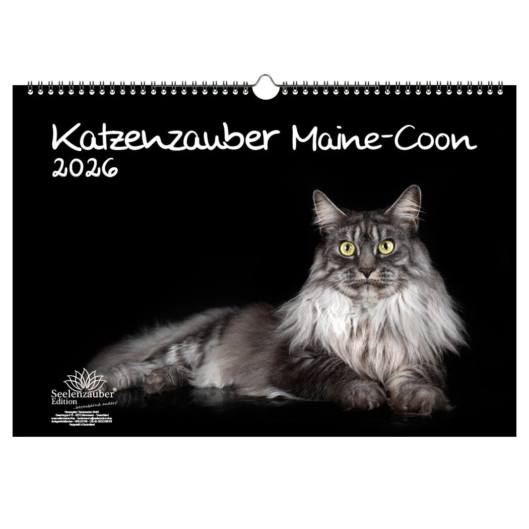 Seelenzauber Wandkalender Katzenzauber Maine-Coon DIN A3 Kalender für 2026 Katzen Katzenbabys