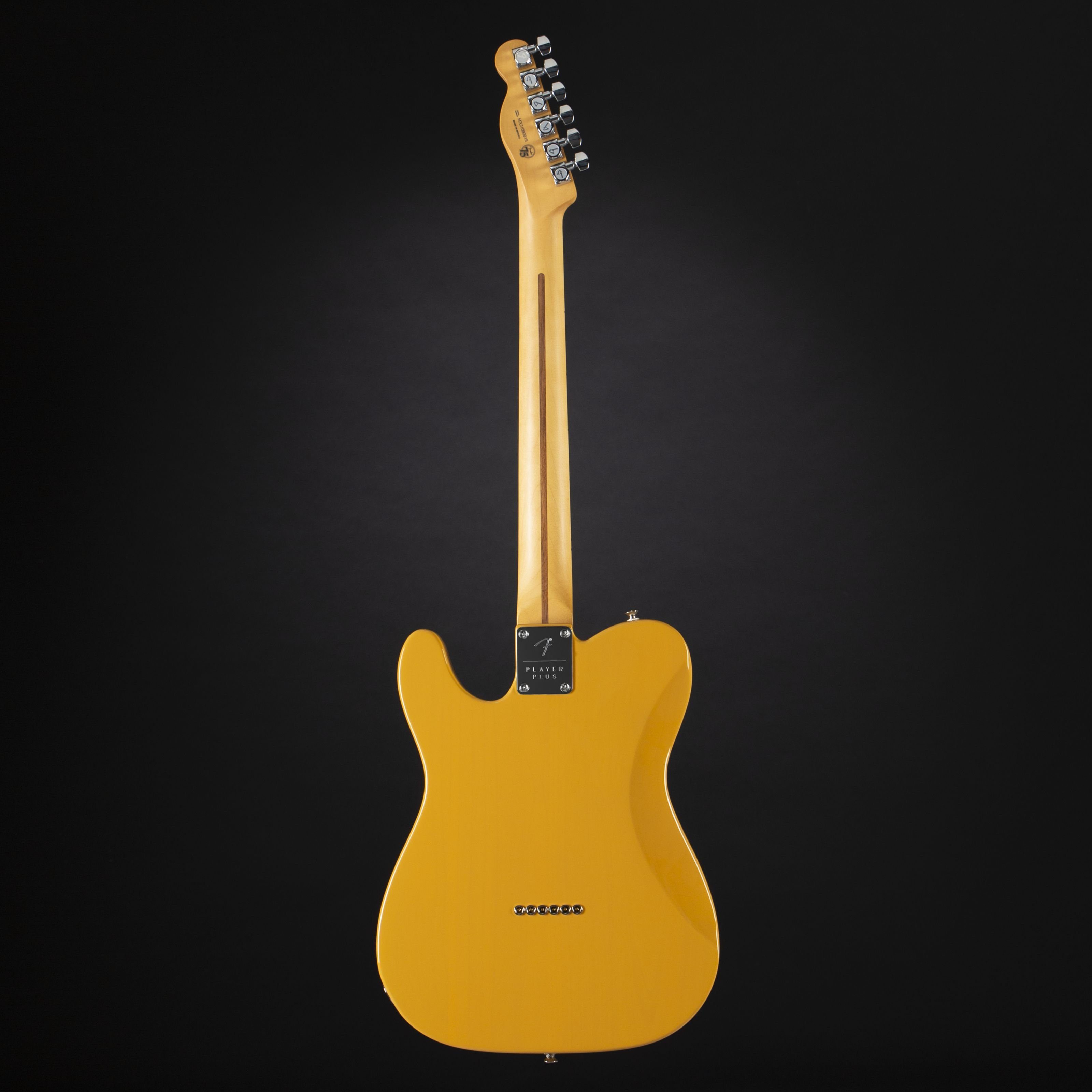 Blonde E-Gitarre - Player Spielzeug-Musikinstrument, Nashville MN Telecaster Plus Butterscotch Fender