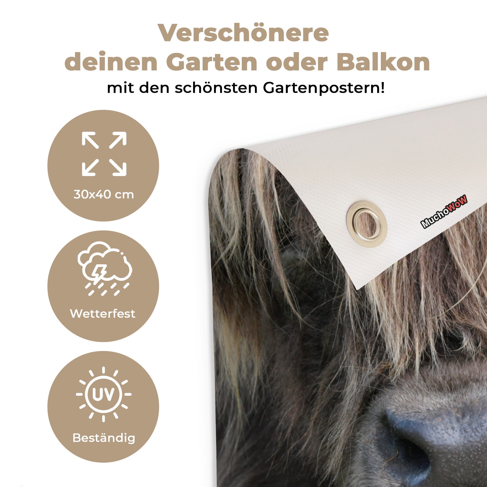 OnlyWow Poster für Garten Schottischer Highlander - Braun - Nase, Gartenposter, Outdoor Bilder, Gartendeko für draußen, 30x40 cm