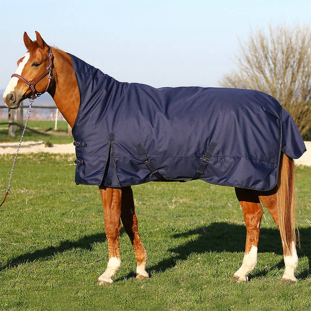 Euroriding Pferde-Thermodecke Euroriding Outdoor Decke Kodiak High Neck Light 100g