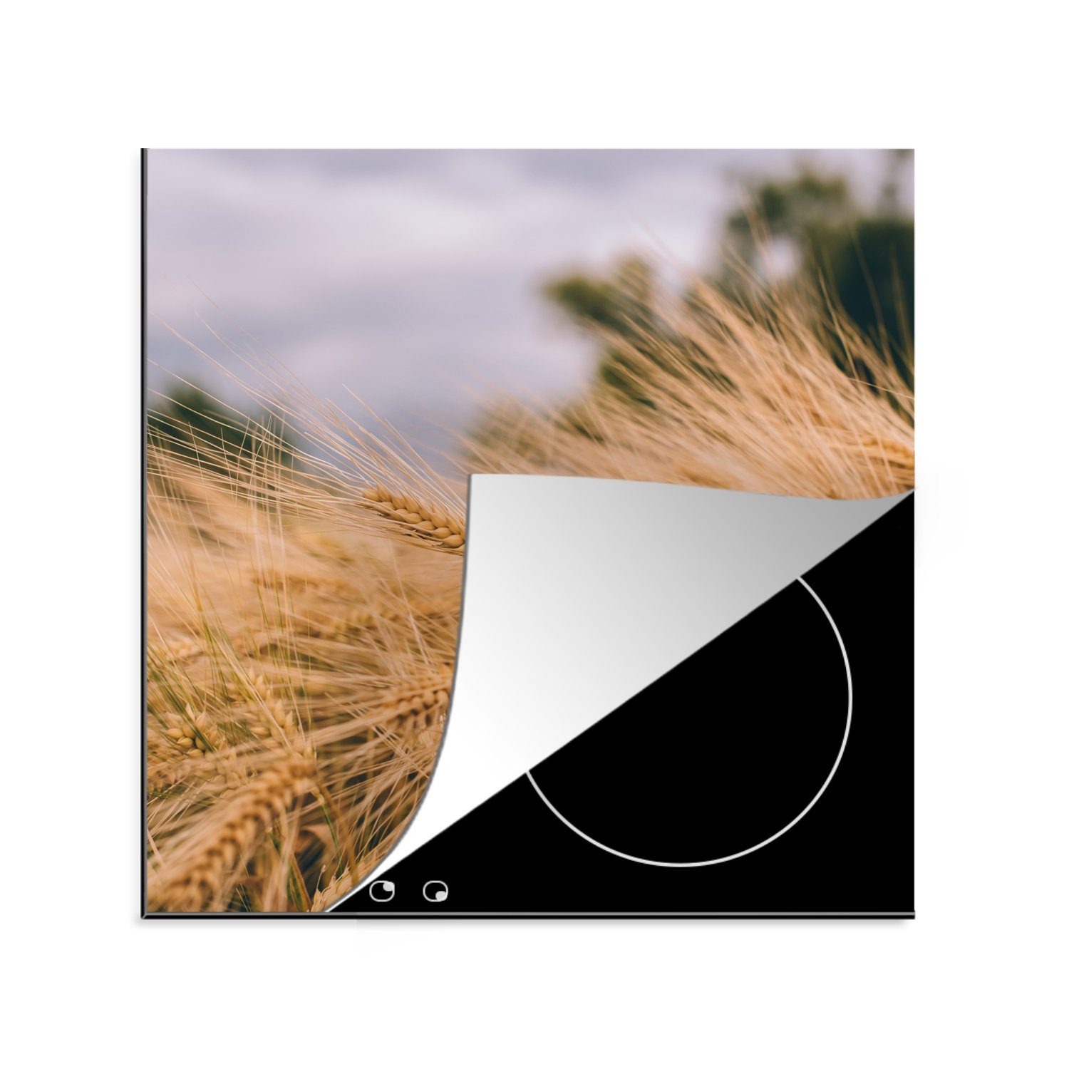 MuchoWow Herdblende-/Abdeckplatte Natur - Pflanzen - Getreide, Vinyl, (1 tlg), 78x78 cm, Ceranfeldabdeckung, Arbeitsplatte für küche | Herdabdeckplatten