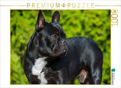 CALVENDO Puzzle CALVENDO Puzzle Traumhund Französische Bulldogge 1000 Teile Lege-Größe 64 x 48 cm Foto-Puzzle Bild von SiSta-Tierfoto, 1000 Puzzleteile