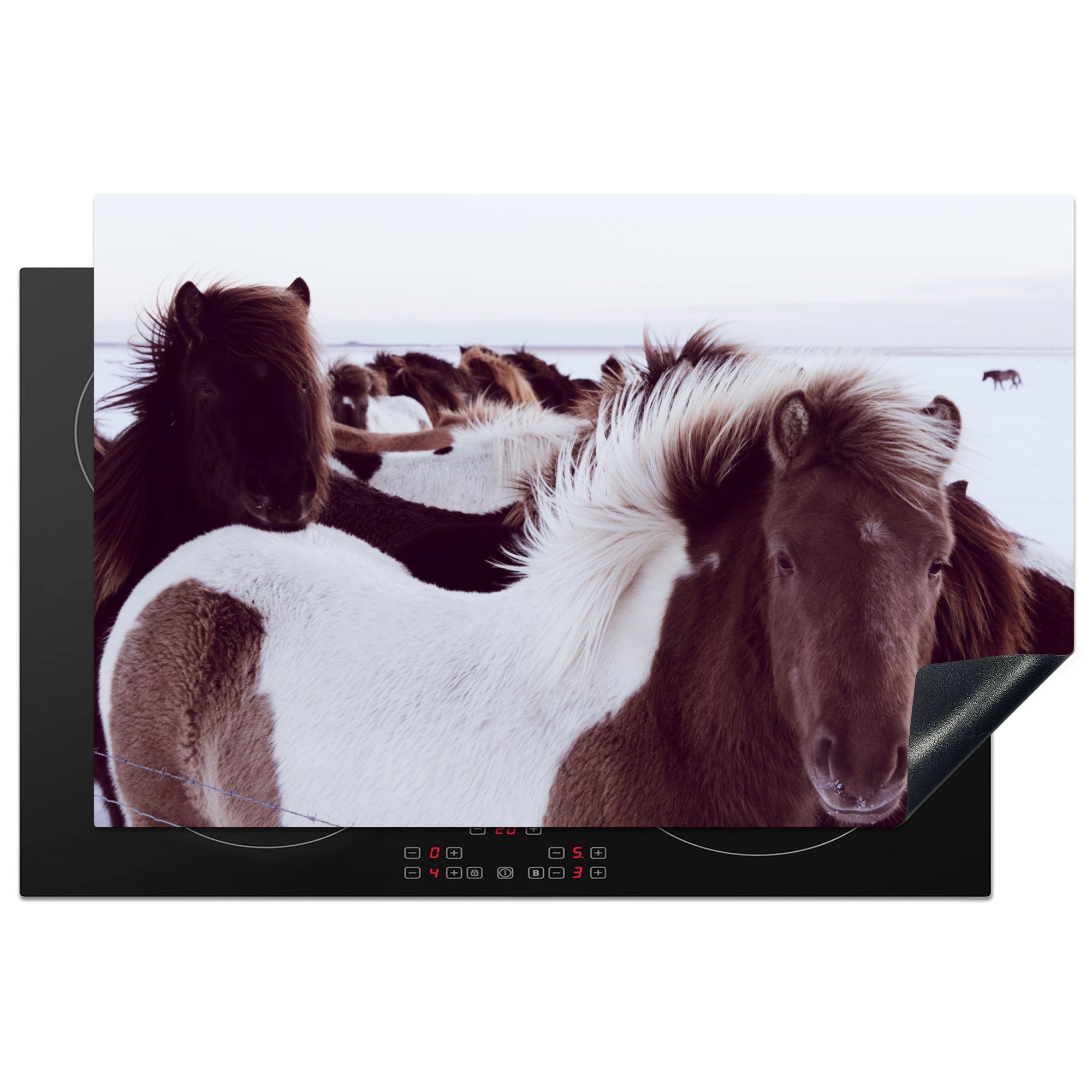 MuchoWow Herdblende-/Abdeckplatte Pferde - Schnee - Island, Vinyl, (1 tlg), 81x52 cm, Induktionskochfeld Schutz für die küche, Ceranfeldabdeckung