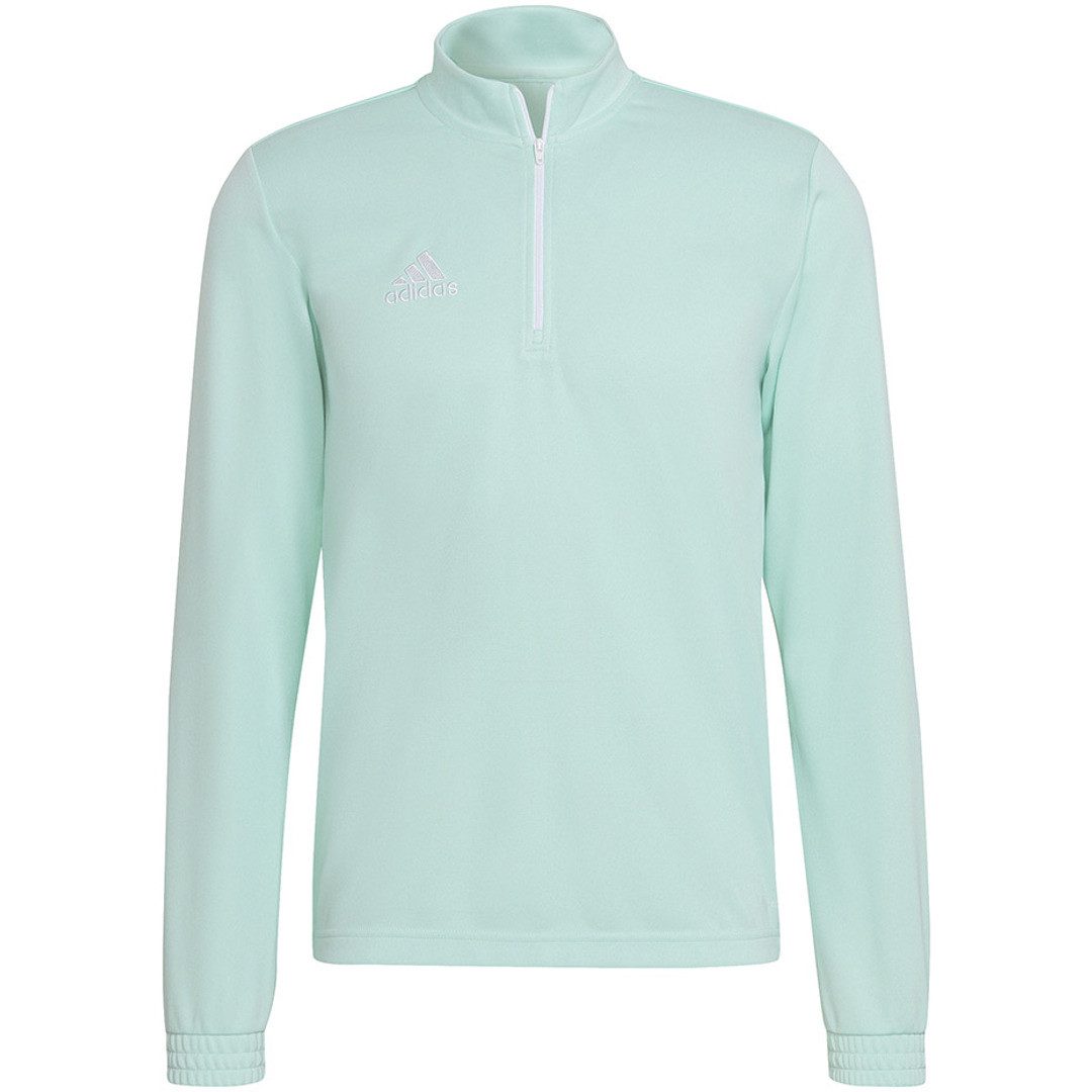 adidas Performance Sweatshirt Entrada 22