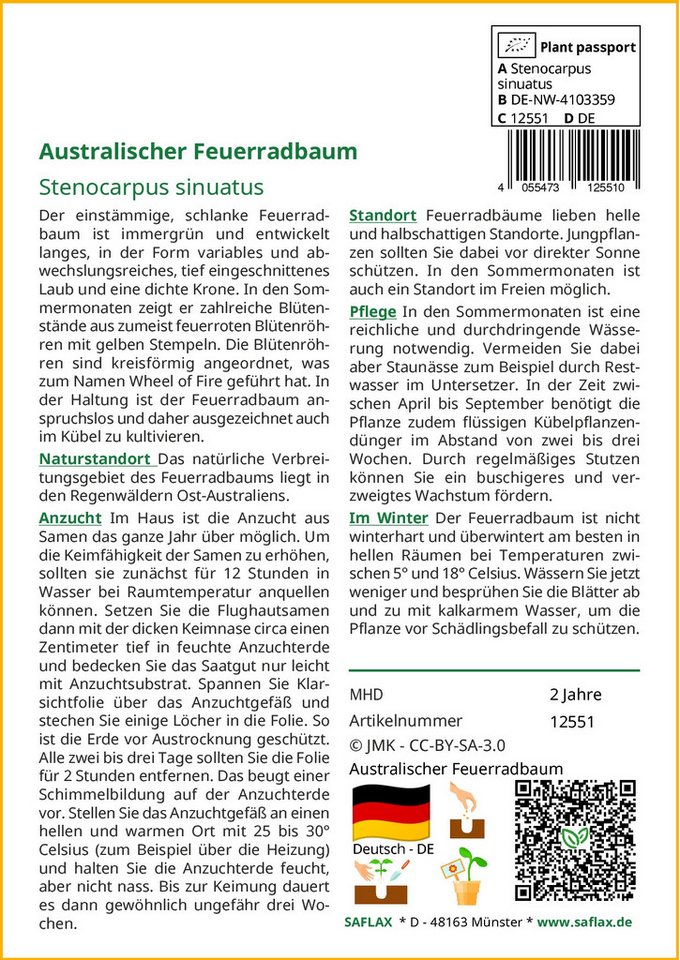 Thumbnail - SAFLAX Blumensamen SAFLAX - Samen - Australischer Feuerradbaum
