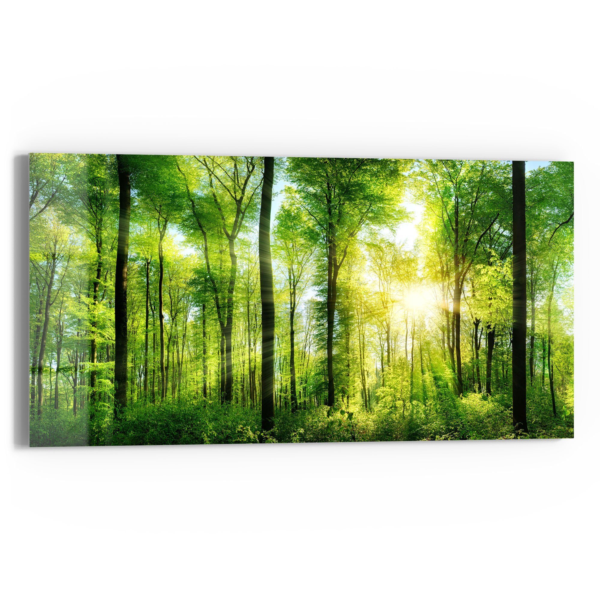DEQORI Glasbild 'Sonne durchbricht Wald', 'Sonne günstig online kaufen