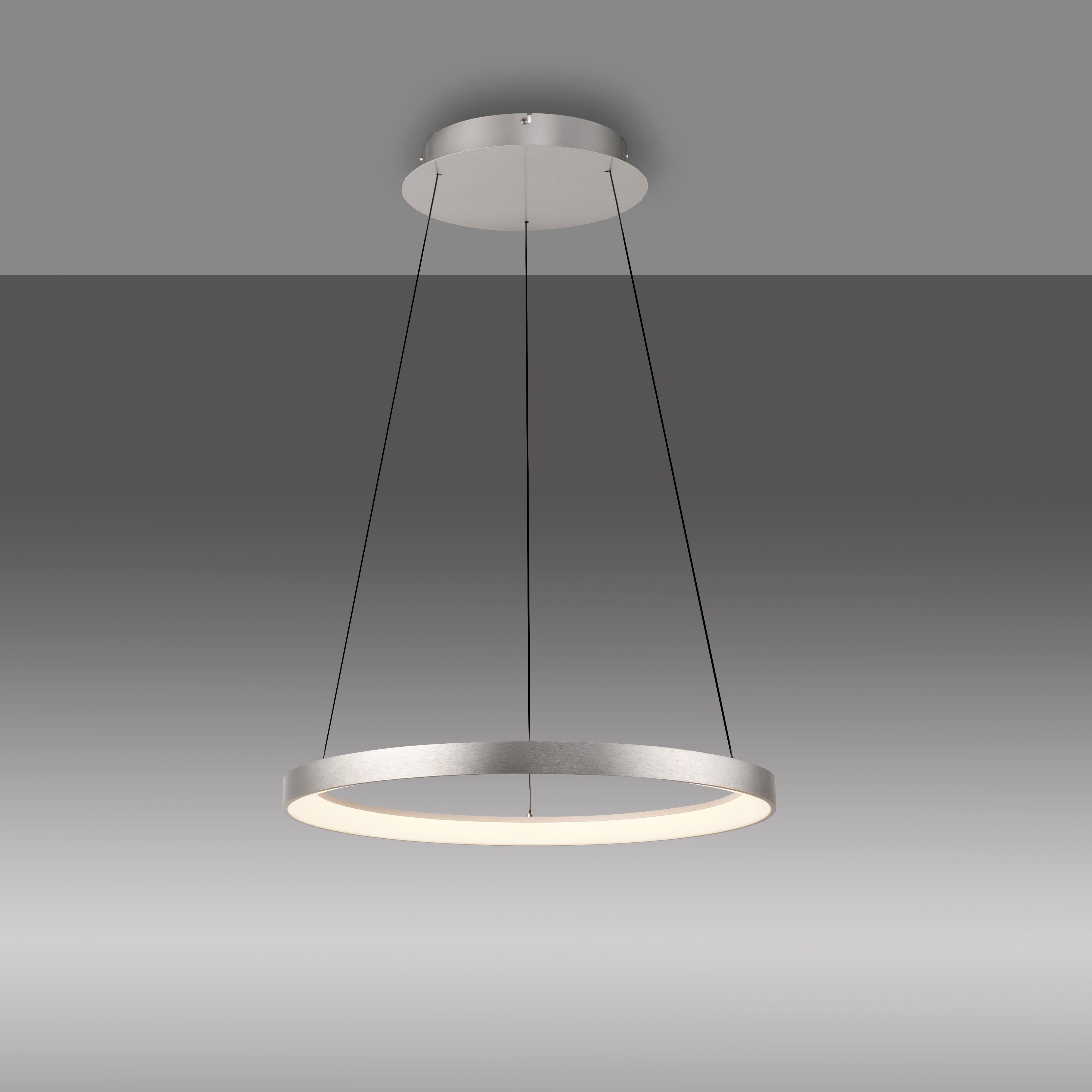 Paul Neuhaus Pendelleuchte HOOP, Dimmfunktion, LED fest integriert, Warmweiß, LED, dimmbar, Simply Dim, Memory, nach Trennung vom Netz, Comfort Lift