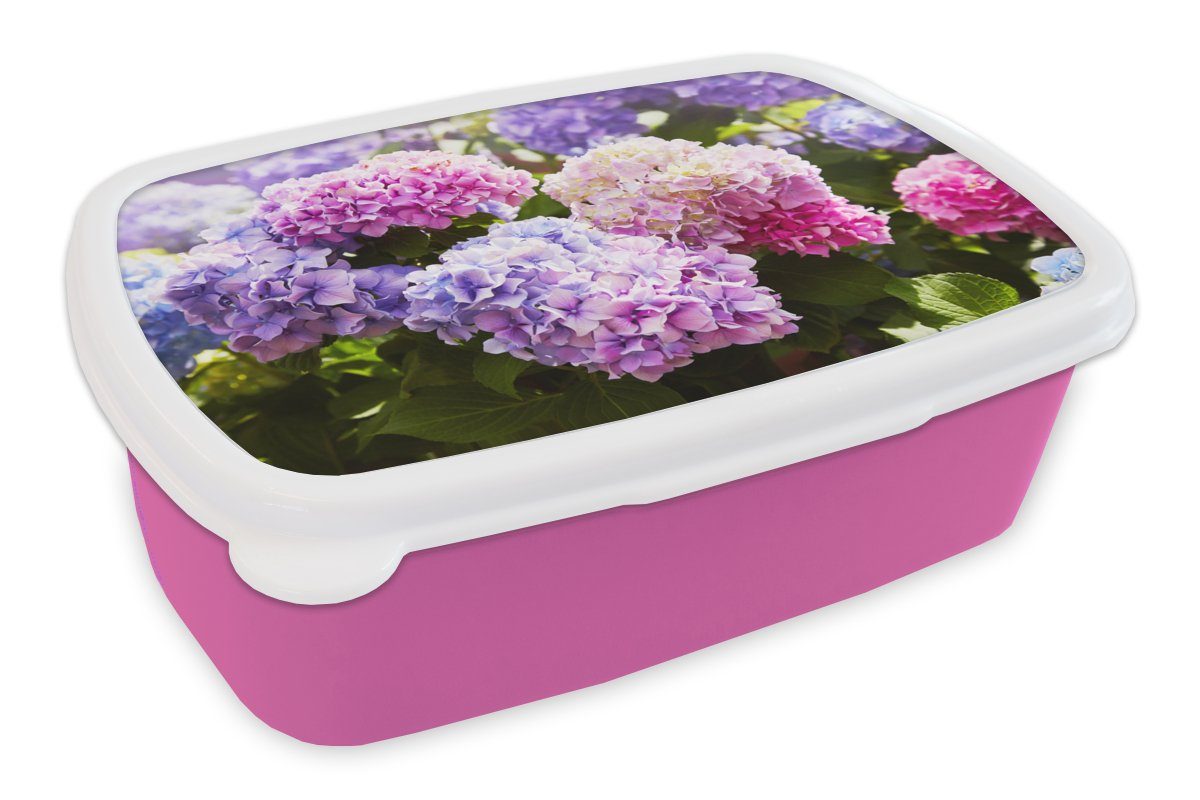 MuchoWow Lunchbox Blumen - Hortensie - Rosa - Blätter - Sonne, Kunststoff, (2-tlg), Brotbox für Erwachsene, Brotdose Kinder, Snackbox, Mädchen, Kunststoff