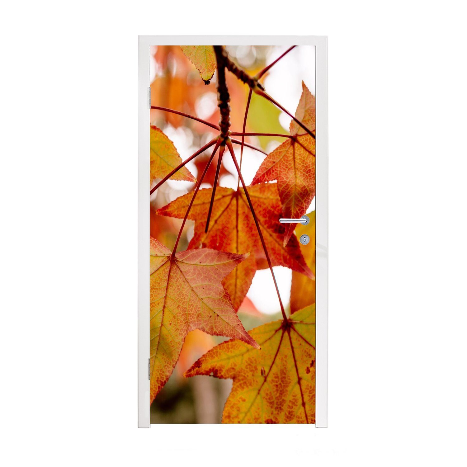 MuchoWow Türtapete Herbstzweige - Blätter - Jahreszeiten - Landleben, Matt, bedruckt, (1 St), Fototapete für Tür, Türaufkleber, 75x205 cm