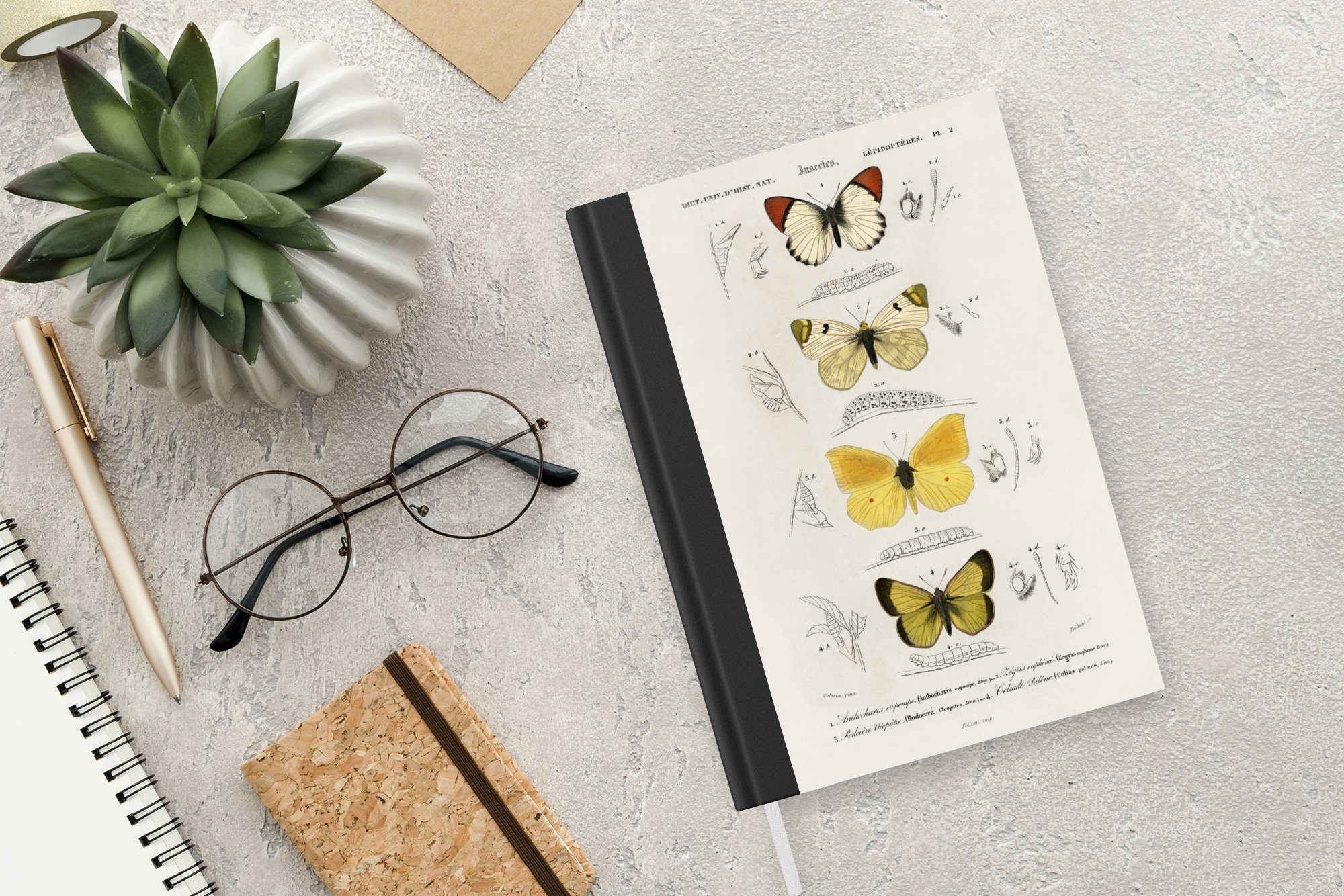 MuchoWow Notizbuch Schmetterling - Vintage A5, Journal, Haushaltsbuch Seiten, Notizheft, Insekten, Tagebuch, 98 Merkzettel, 