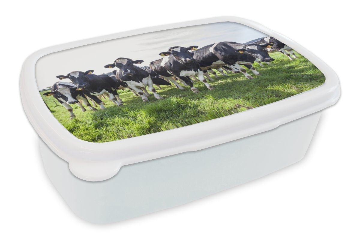 und (2-tlg), Lunchbox Licht Brotdose, Kunststoff, Kinder - Kühe weiß Mädchen für Jungs und Brotbox für MuchoWow Erwachsene, Frühling, -