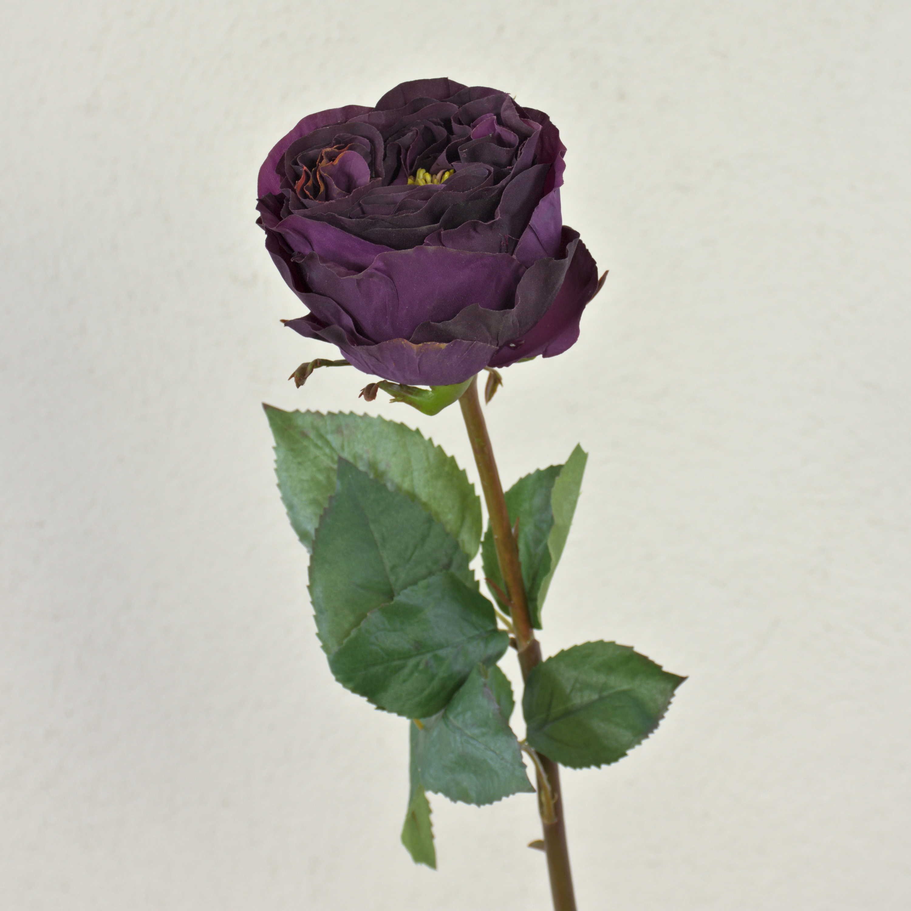 Kunstblume Künstliche Kohl-Rose TAYNARA, dunkellila, 50cm, Ø9cm - Kunst Koh Rose (Kohl-Rose), artplants, Höhe 50.0 cm