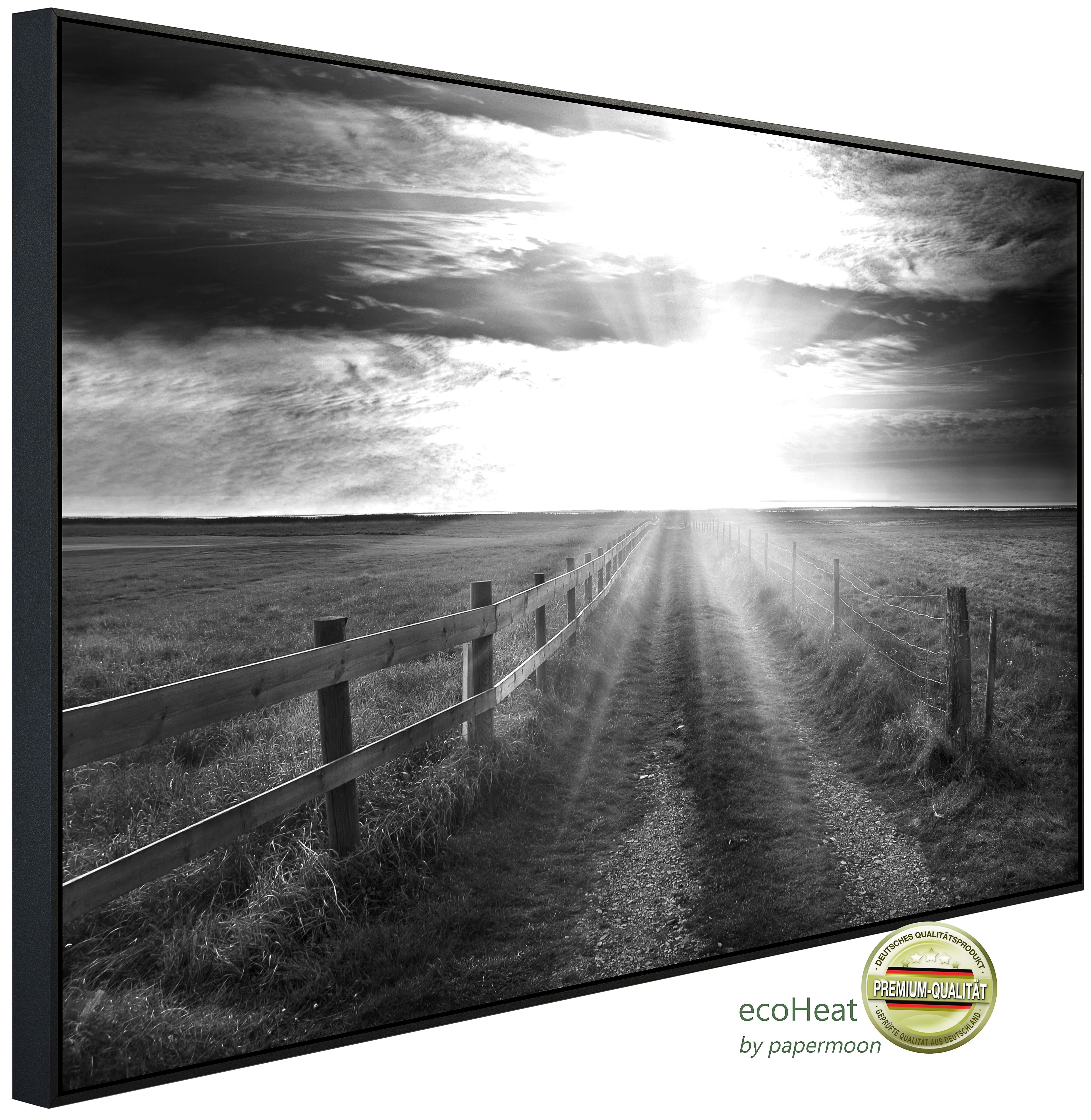 Papermoon Infrarotheizung INFRAROT-BILD-HEIZUNG, Feldweg Schwarz & Weiß, TÜV-Rheinland/GS zertifiziert, angenehme Strahlungswärme