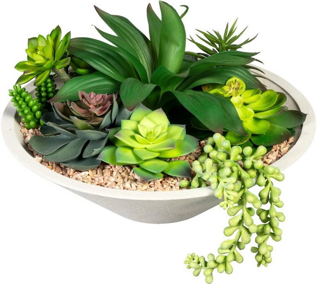 Künstliche Zimmerpflanze »Sukkulentenarrangement« Sukkulente, Creativ green, Höhe 20 cm, in Schale aus Naturmaterial-Otto