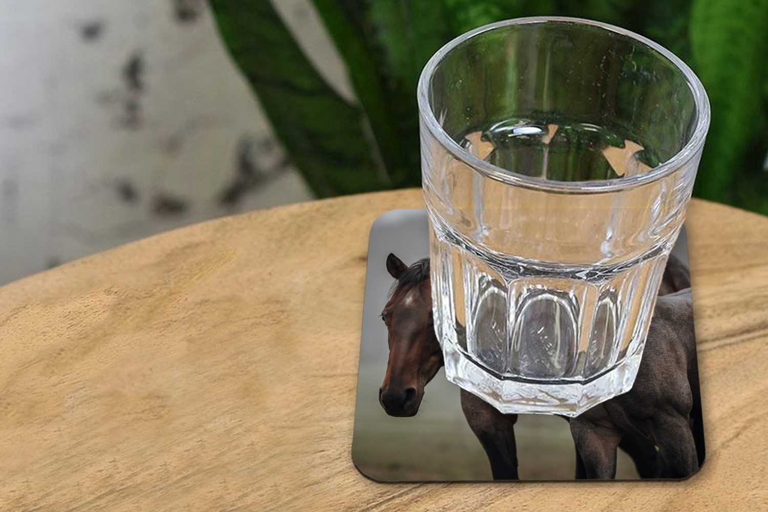 MuchoWow Glasuntersetzer Pferde - für Gläser, 6-tlg., Korkuntersetzer, Nebel Zubehör Tasse Tischuntersetzer, Landschaft, - Glasuntersetzer, Untersetzer