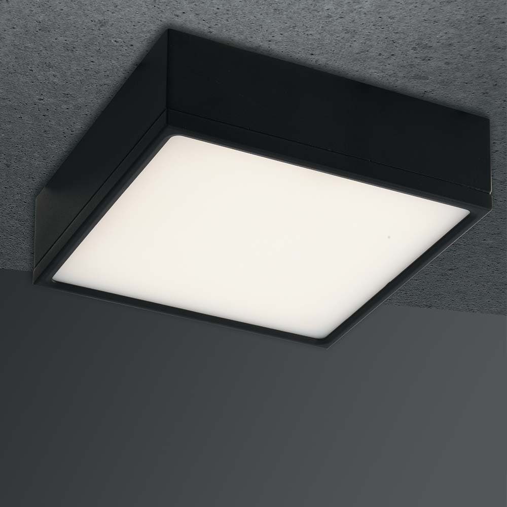 click-licht LED Deckenleuchte LED Deckenleuchte Klio in Schwarz 22W 2000lm IP20 167x167mm, keine Angabe, Leuchtmittel enthalten: Ja, fest verbaut, LED, 4000, Deckenlampe, Deckenbeleuchtung, Deckenlicht | 