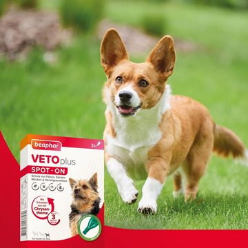 beaphar Zeckenschutzmittel Beaphar VETOplus SPOT-ON für kleine Hunde bis 15 kg